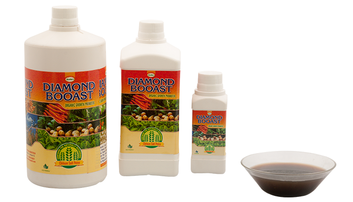 Foliar - DIAMOND BOOAST